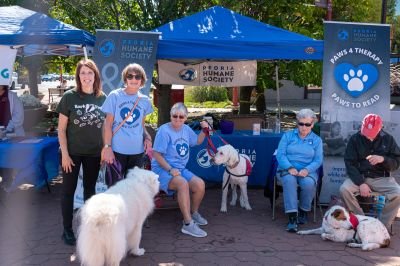 Bark pet therapy 2022-1