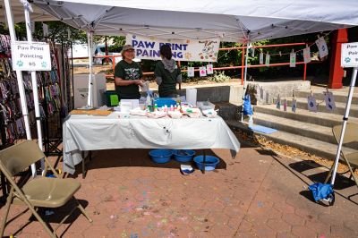 Bark pawprint painting 2022