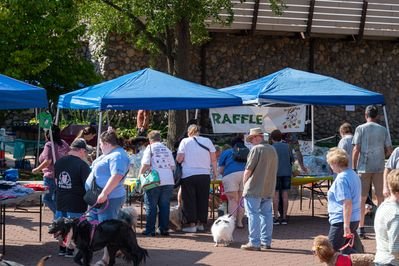 850_9281.jpg