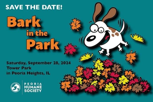 2024 Bark Save the Date Card Front 3