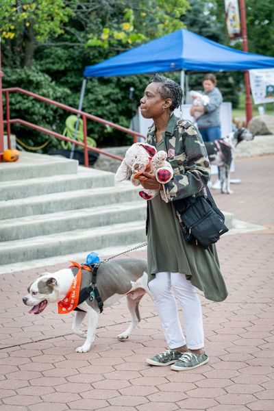 Bark photo 45