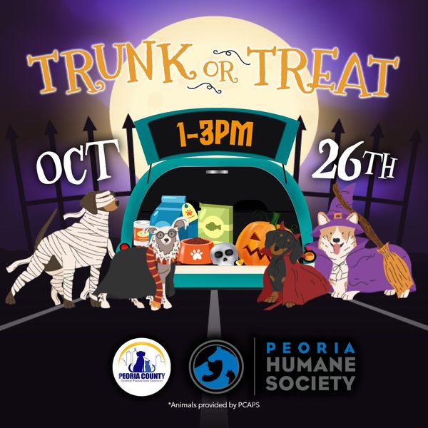 Trunk ot Treat 2