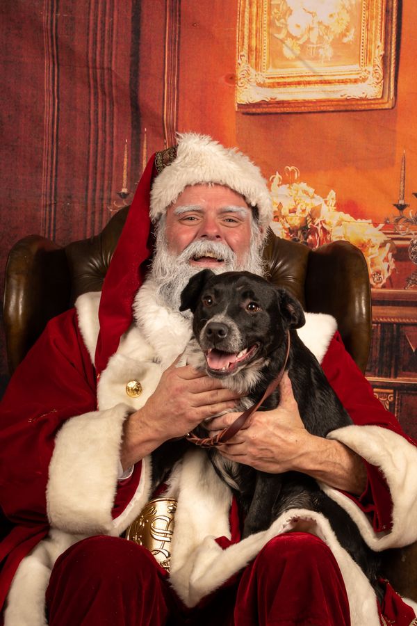 Photos with Santa 2