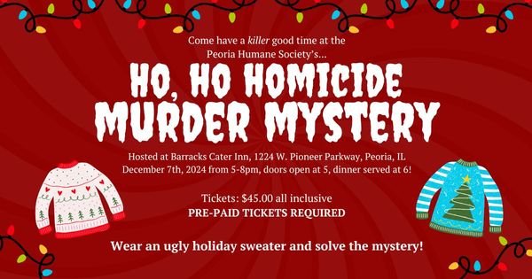 Murder Mystery NEW