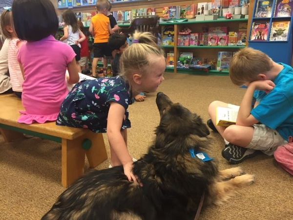 Barnes  Noble - sophie