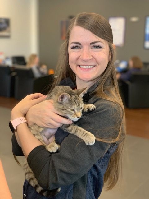 Subaru adoption event 3