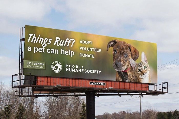 billboard Adams 2024