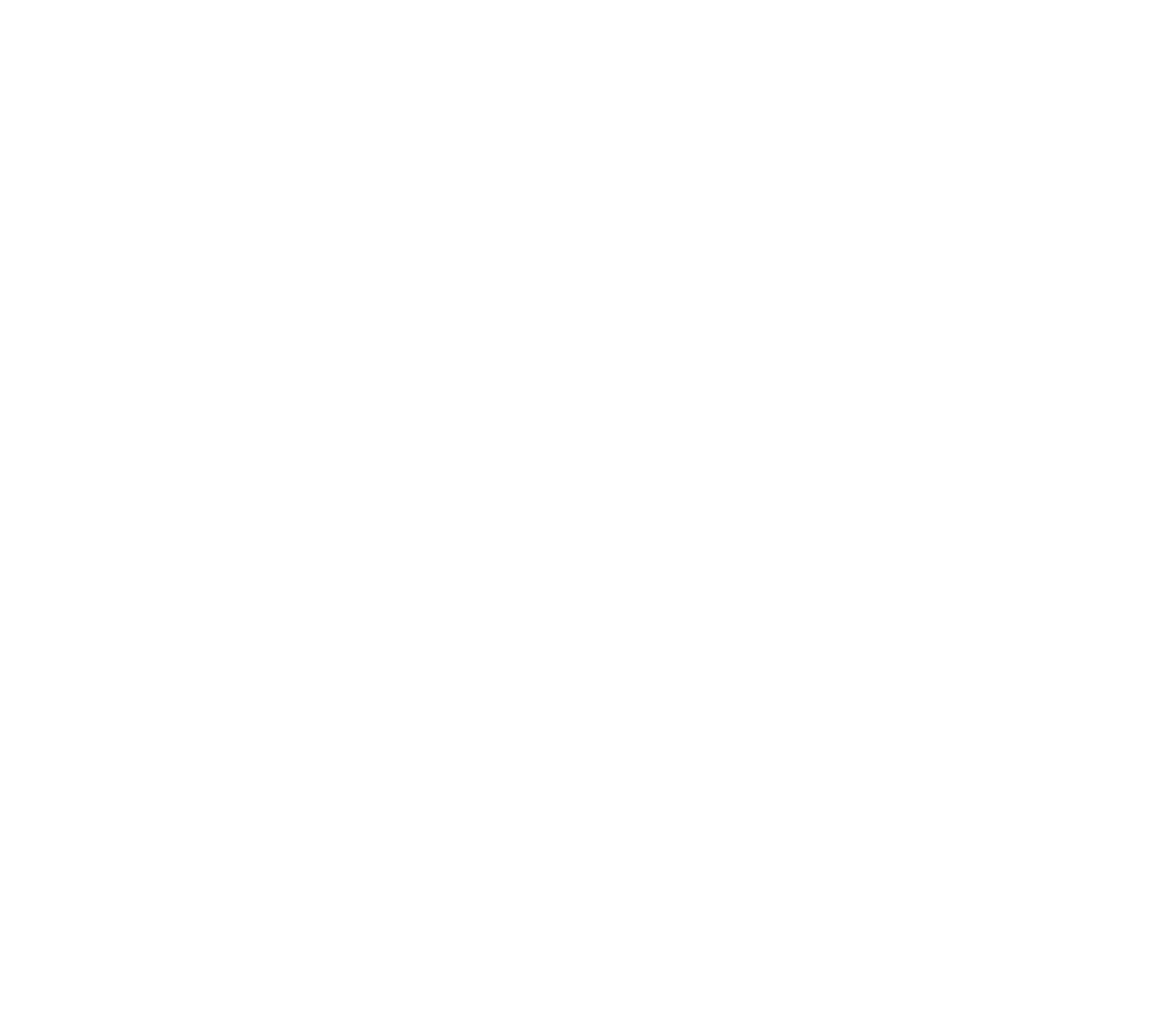 PHS_New-Logo_Wht