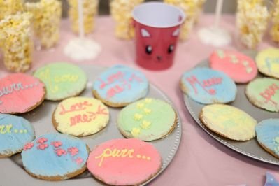 kitten shower 10