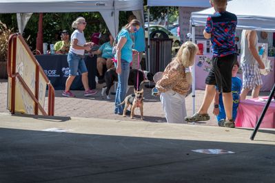 NZ8_7123.jpg