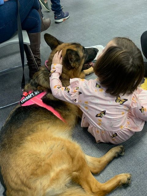 therapy dog Scout 2024