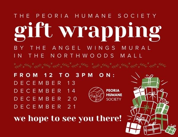 giftwrap_graphic2025 1