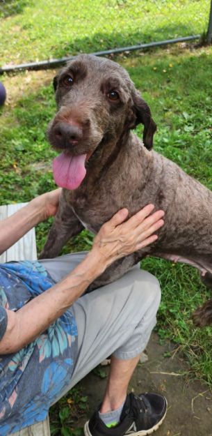 Cora with a shelter volunteer