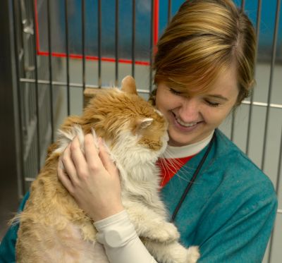 Volunteer with cat
