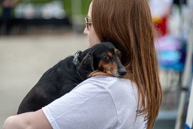 Bark in Park dog and person
