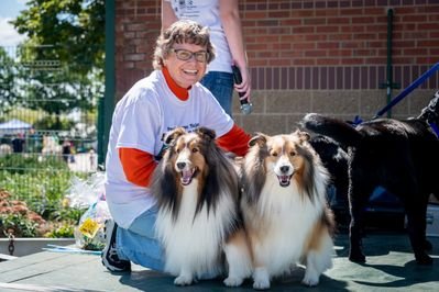 Bark in Park Photo