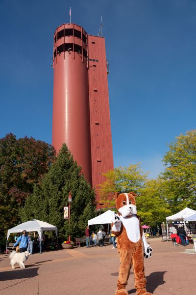 Bark 11